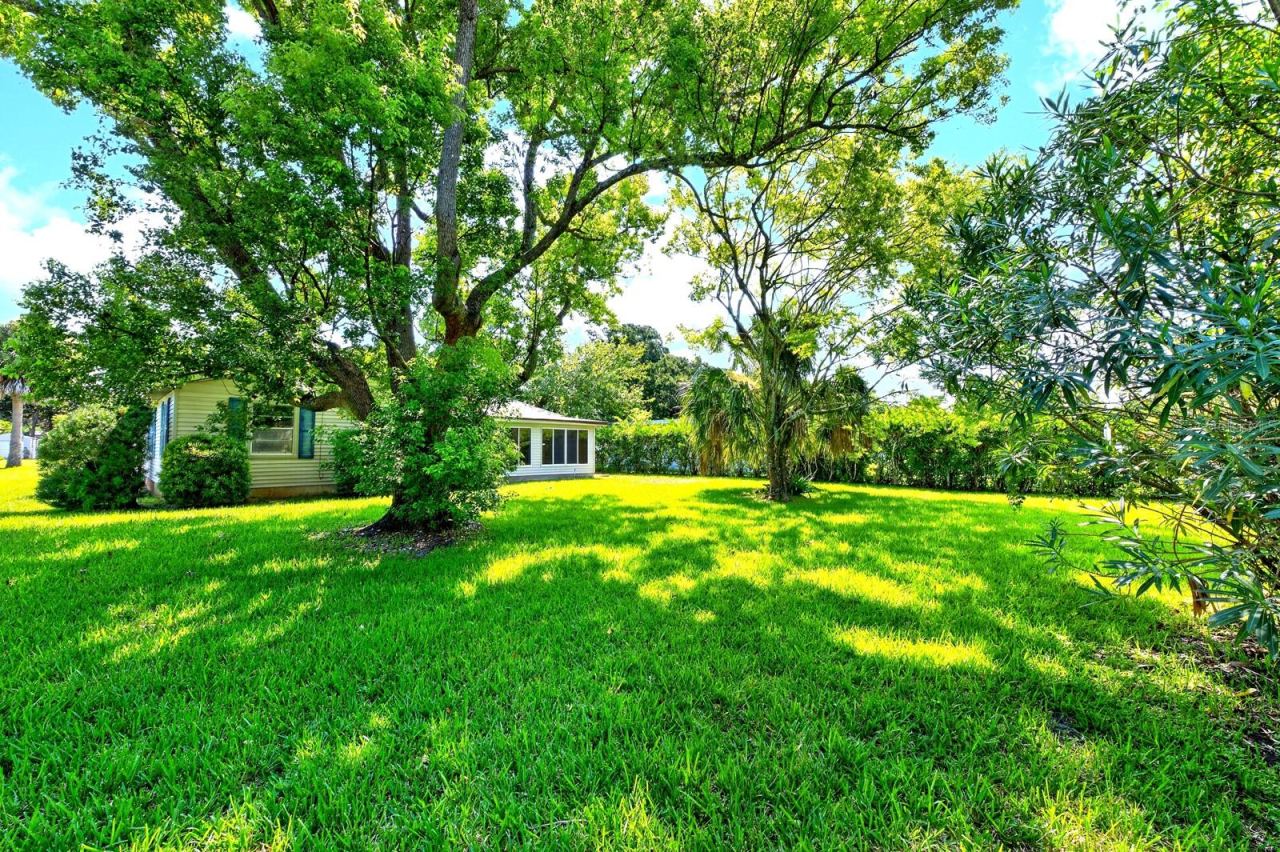 Photo 17 of 20: Mature trees complement a spacious backyard.