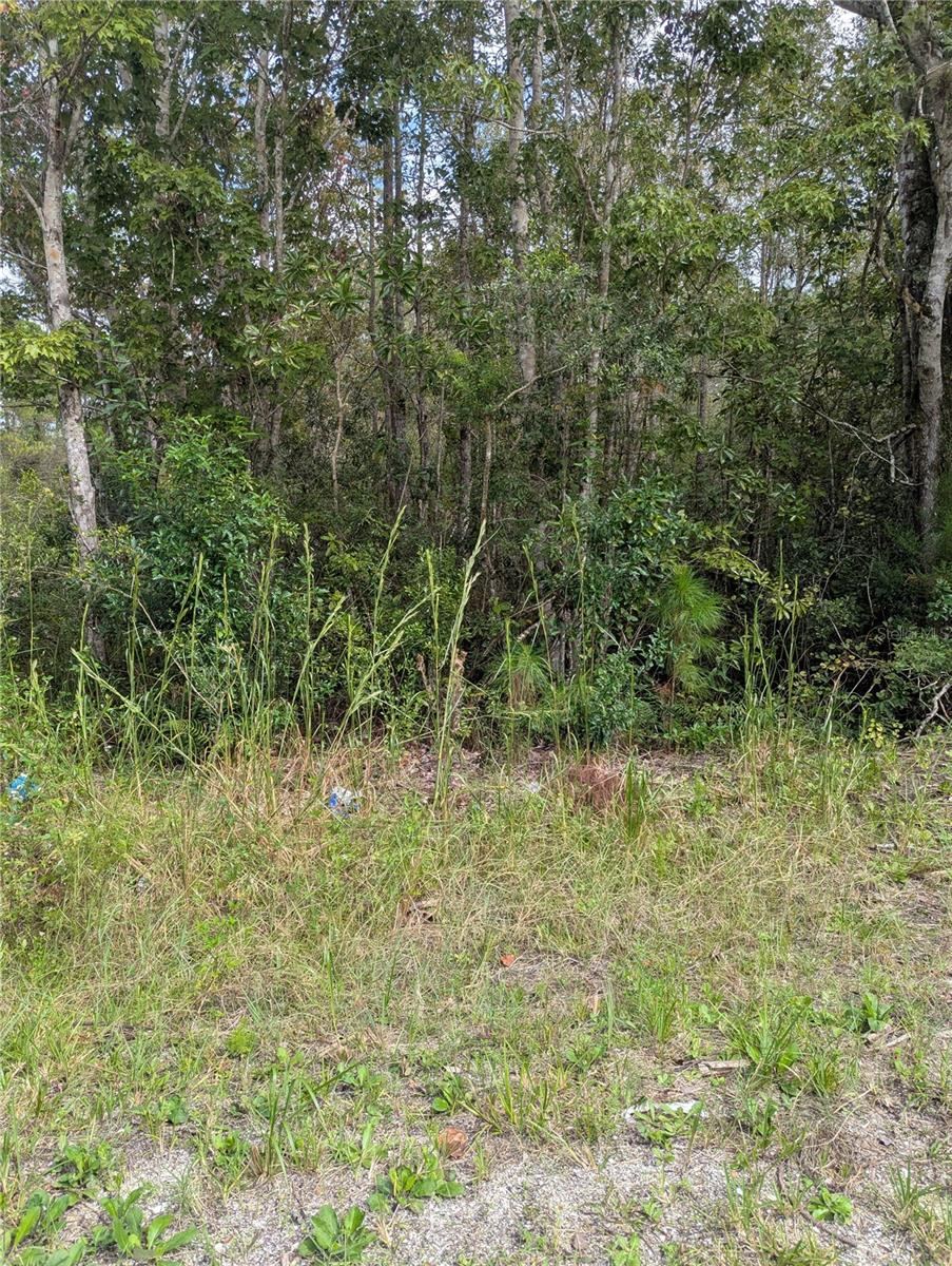 Photo 5 of 20