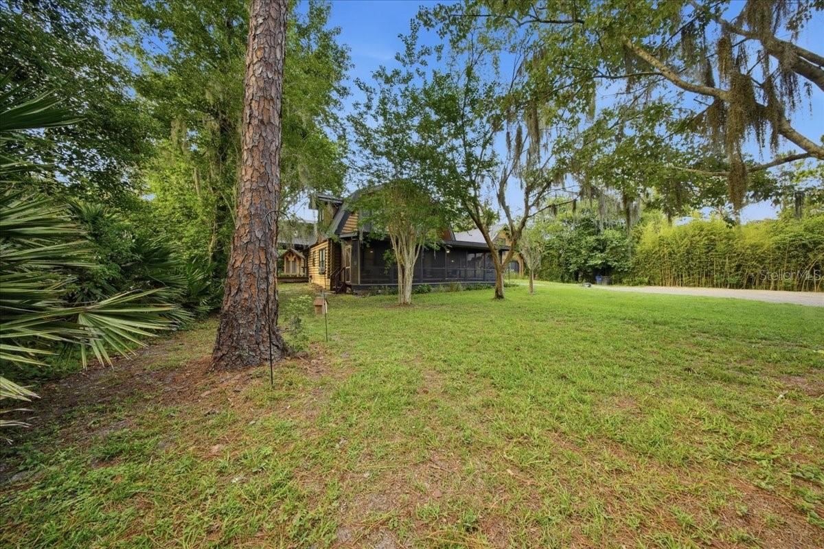 Photo 7 of 20