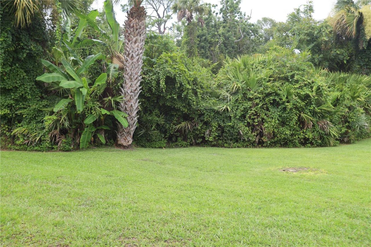 Photo 14 of 20: Backyard Area