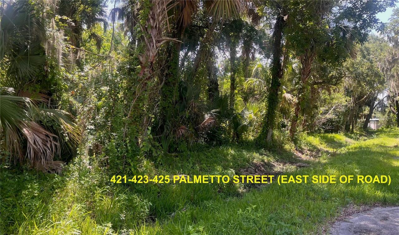 Photo 4 of 5: LOTS 421-423-425 PALMETTO STREET
