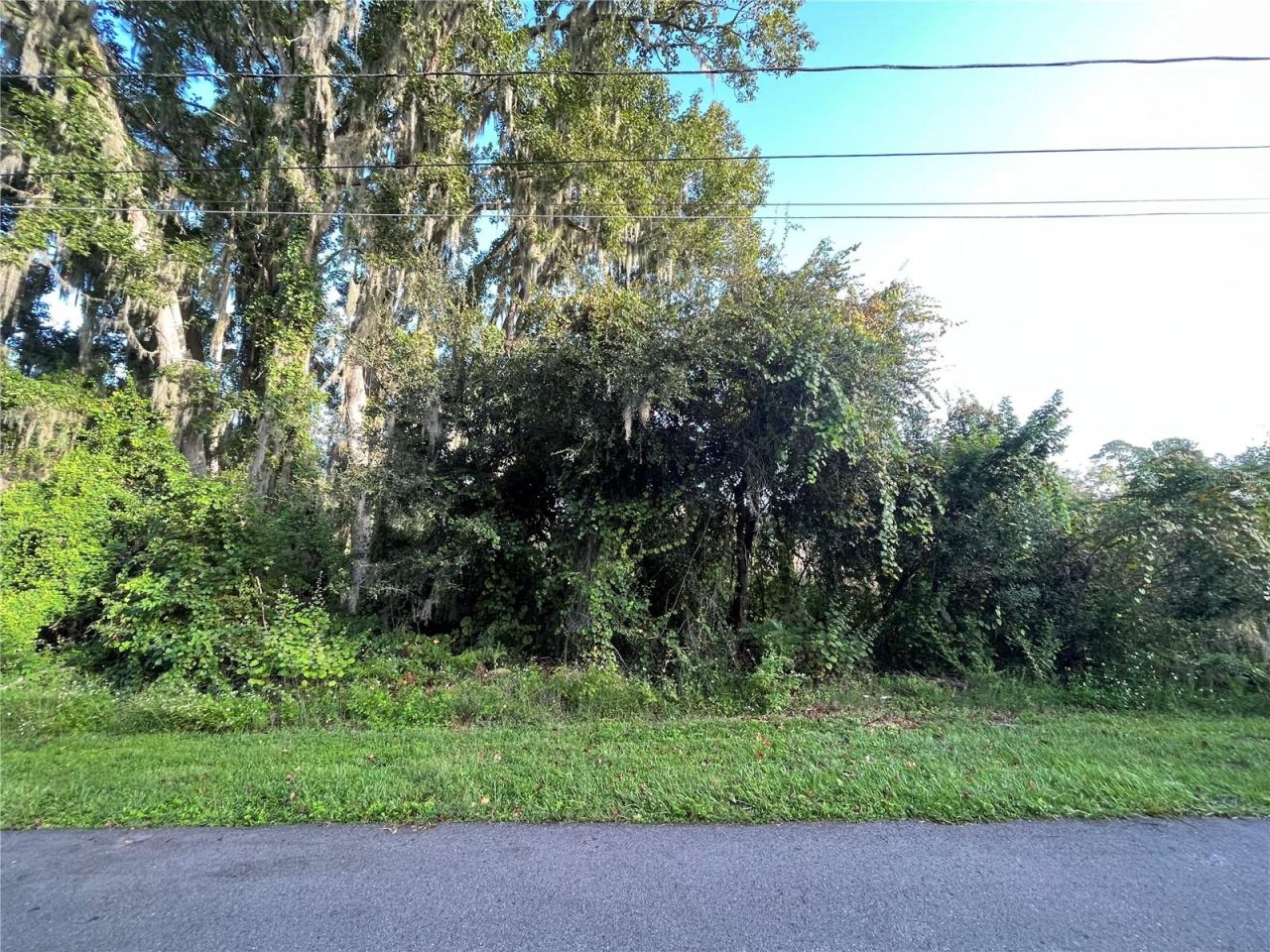 Photo 5 of 7
