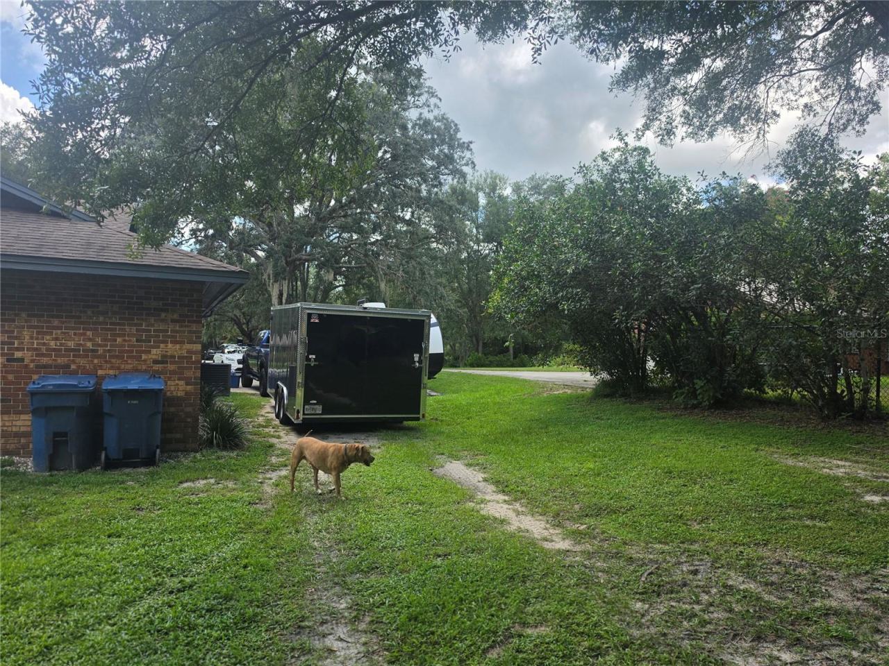 Photo 4 of 20: Back yard