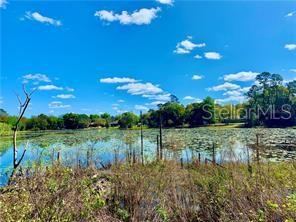 Photo 1 of 2: Lakefront