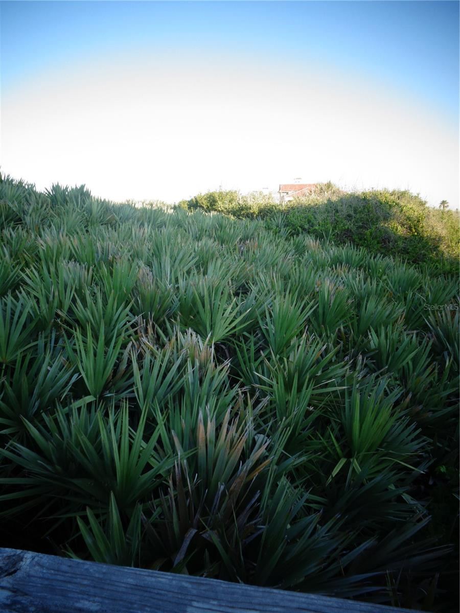 Photo 16 of 20