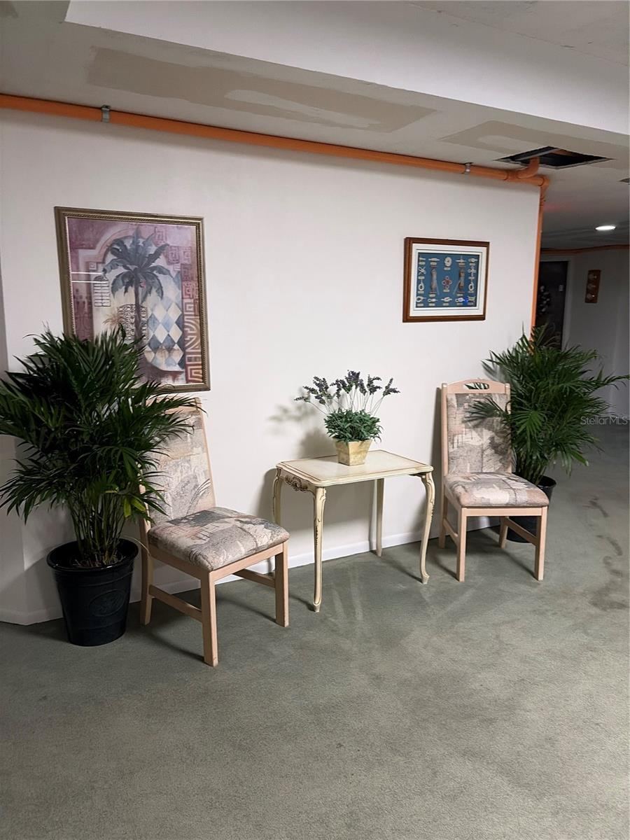 Photo 3 of 20