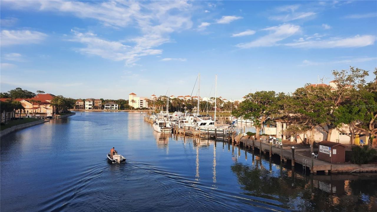 Photo 6 of 13: Palm Coast Marina