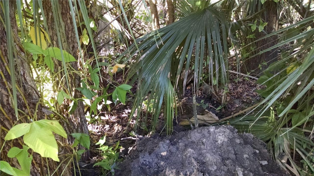 Photo 3 of 3