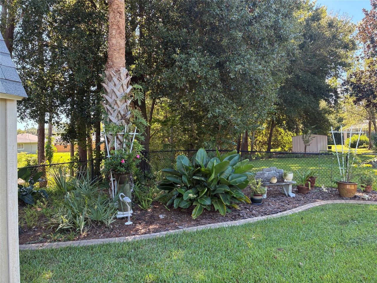 Photo 12 of 20