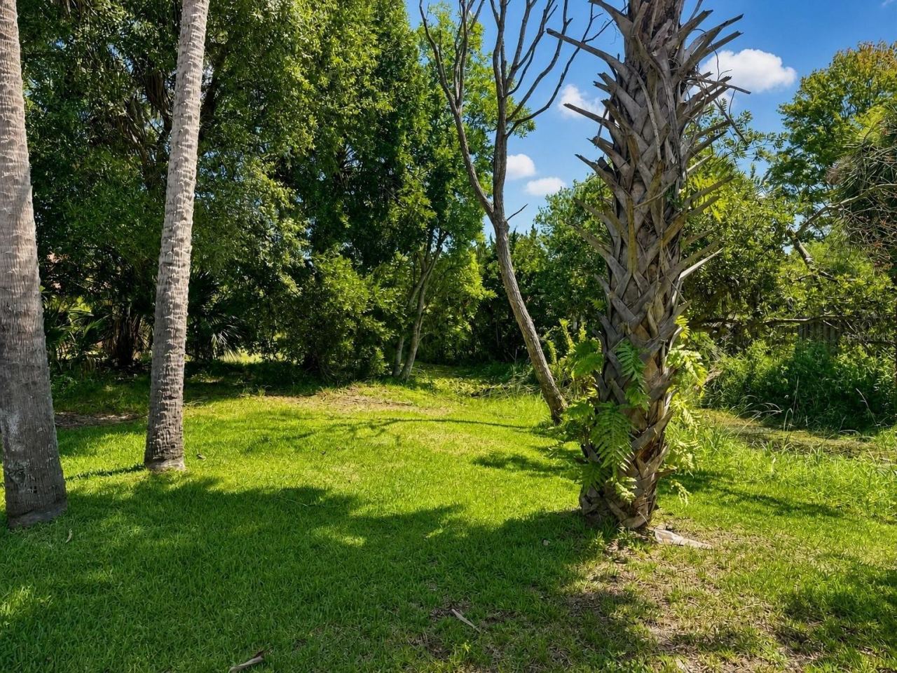 Photo 20 of 20