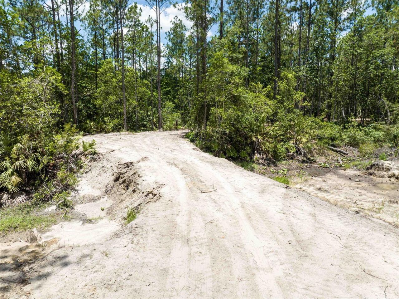 Photo 5 of 15