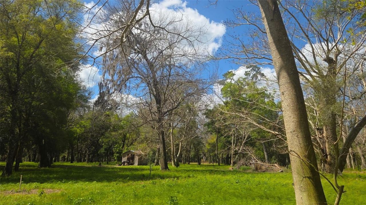 Photo 13 of 20