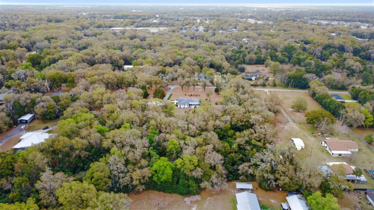 Photo 4 of 7: Azalea looking towards N Ridgewood.
