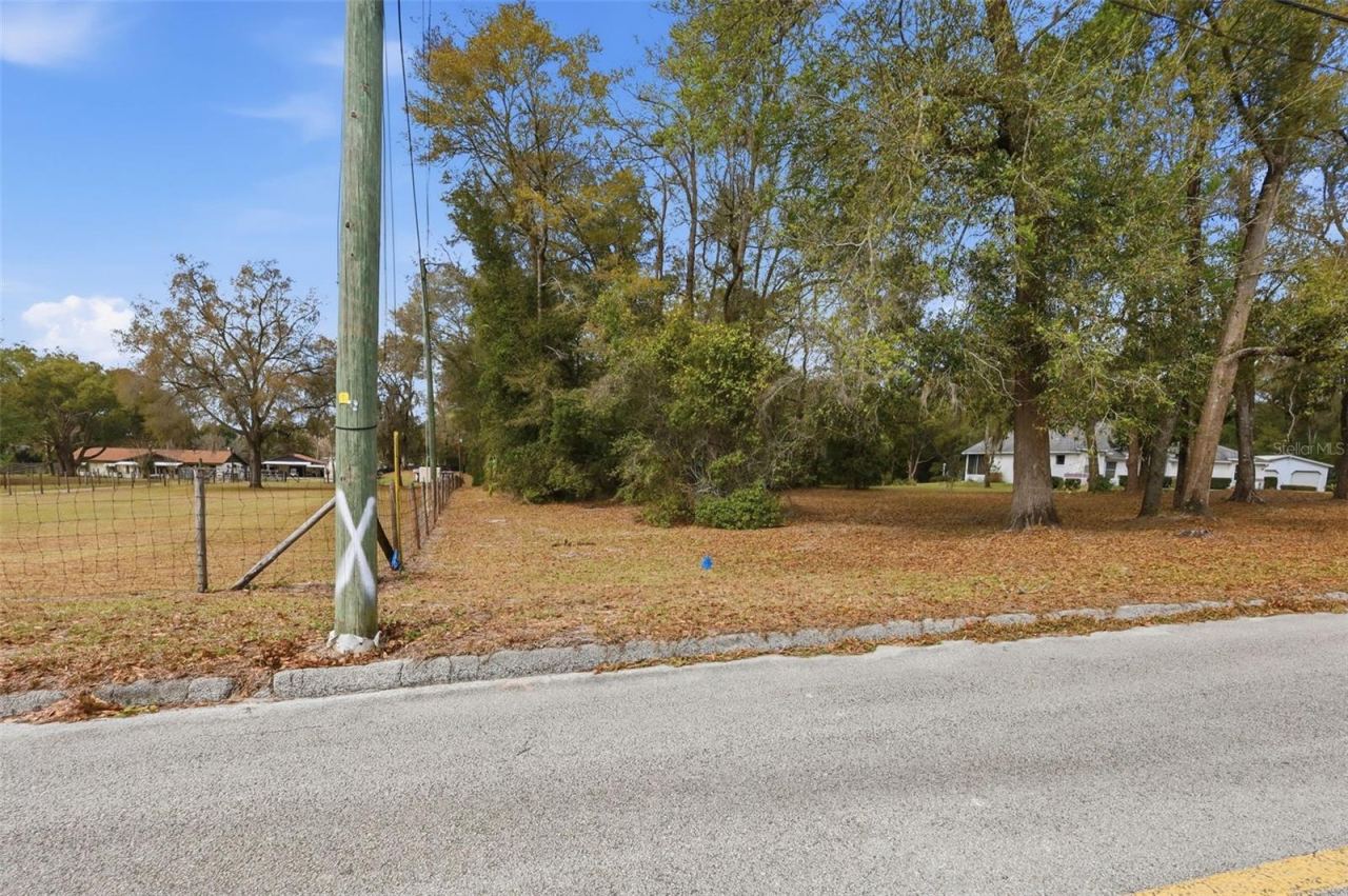 Photo 6 of 7: Easement entrance to property off N Ridgewood Ave.