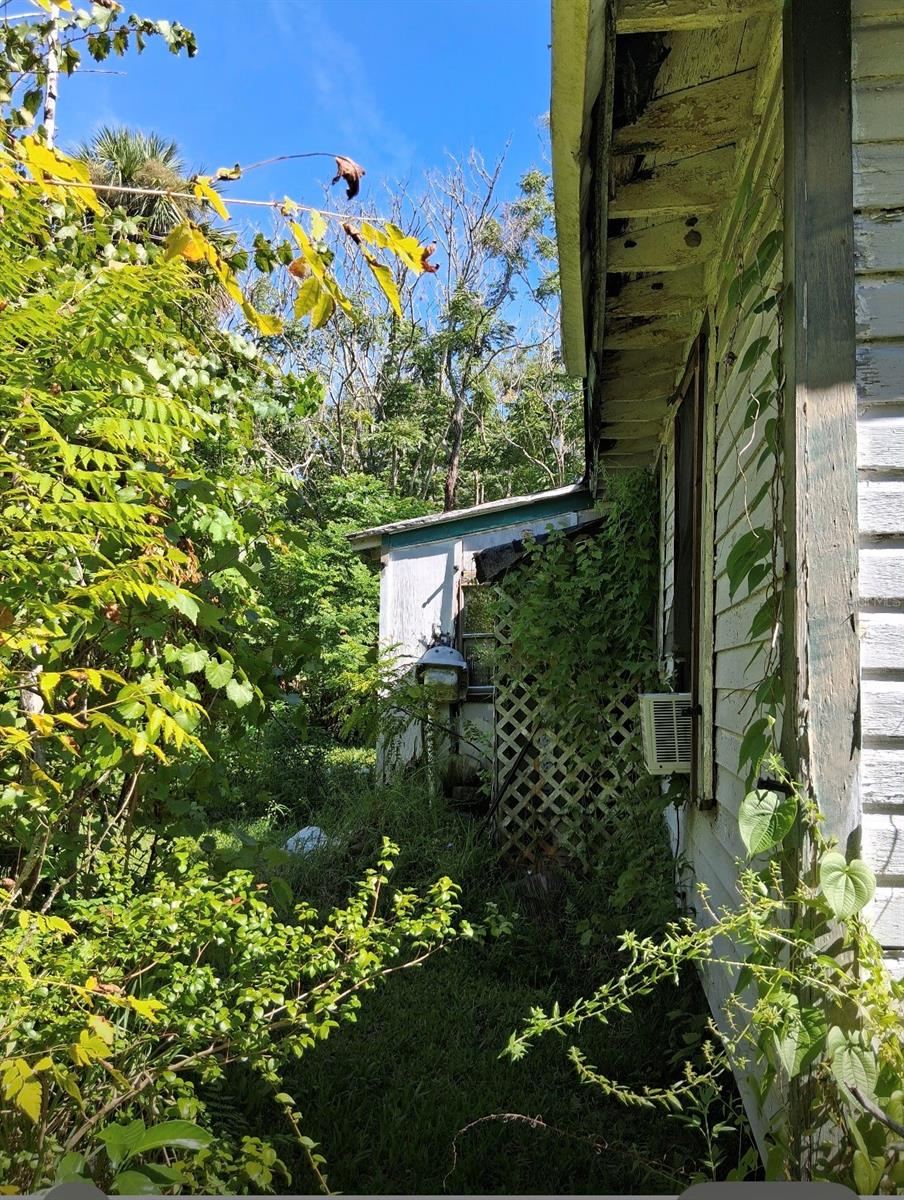 Photo 11 of 19