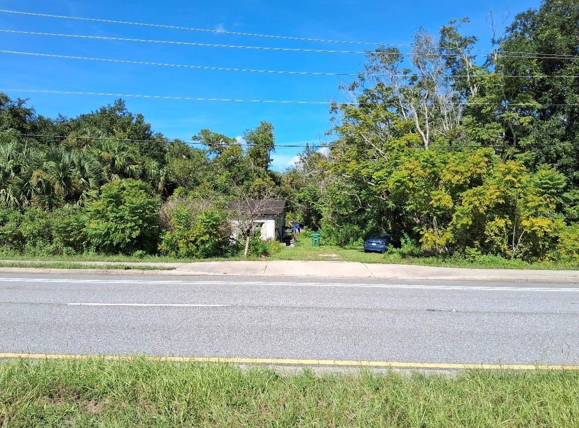 Photo 4 of 19