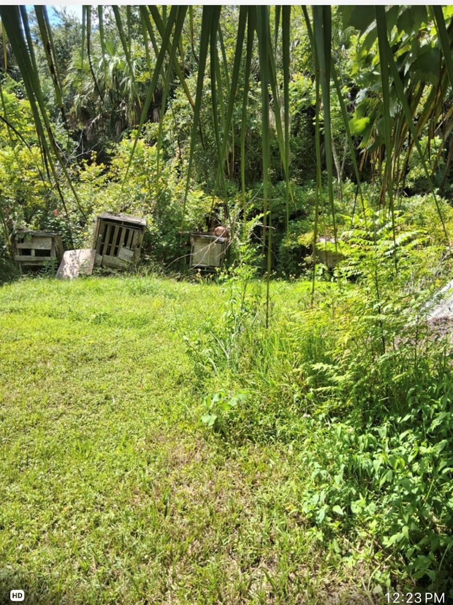 Photo 17 of 19