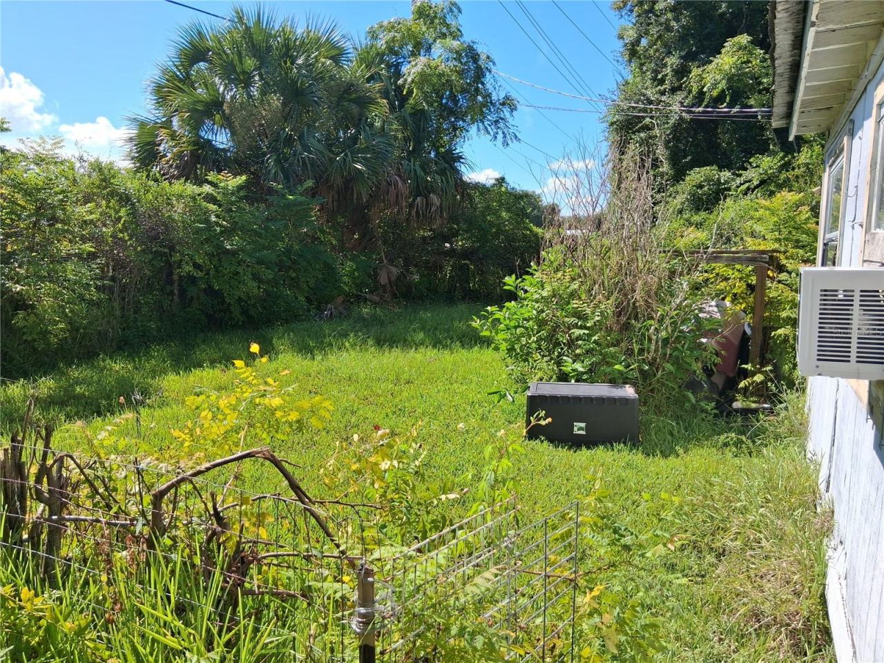 Photo 19 of 19