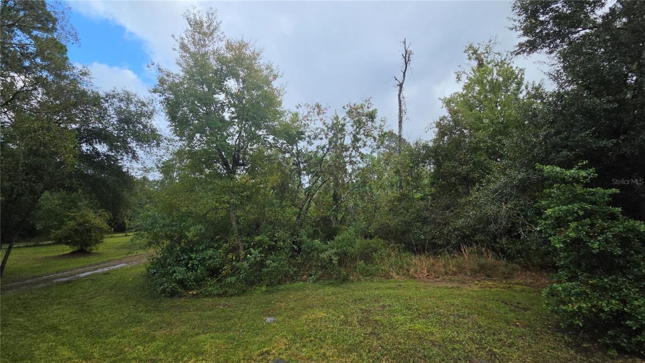 Photo 20 of 20