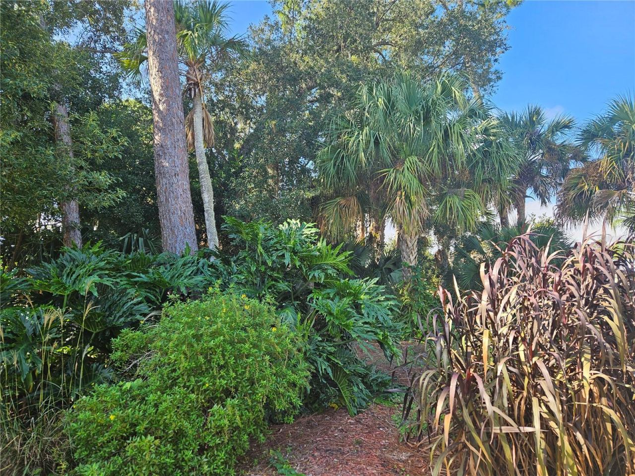 Photo 7 of 10: Paths wind throughout lot