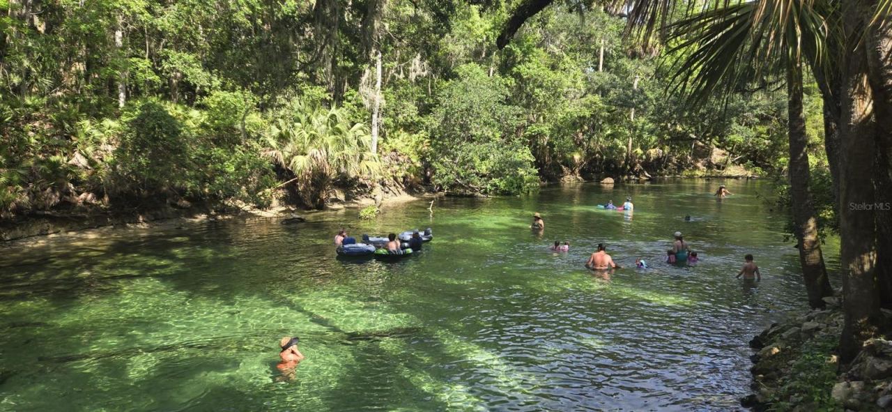 Photo 20 of 20: BLUE SPRINGS