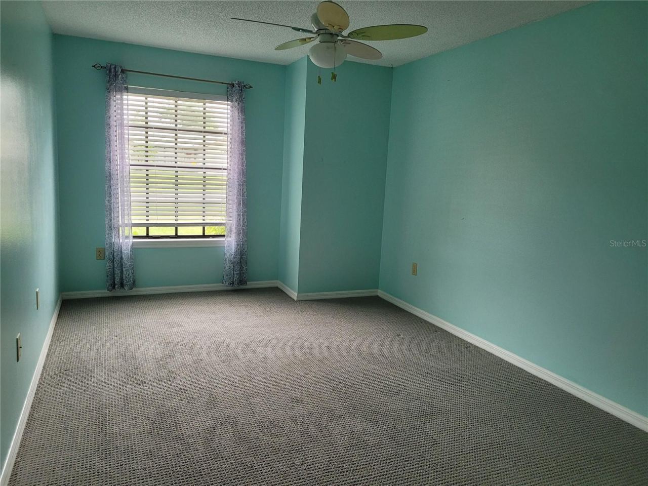 Photo 11 of 20