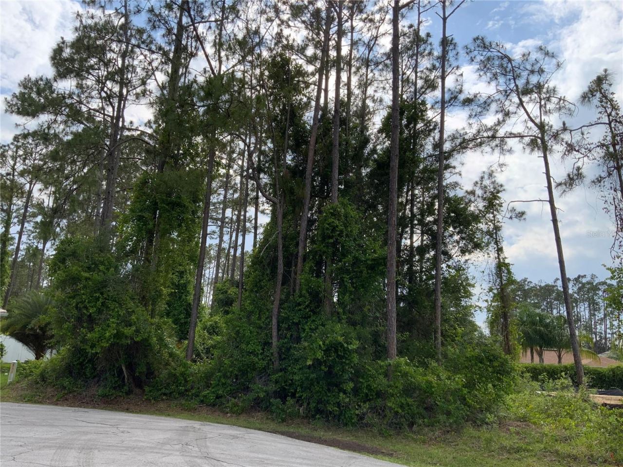 Photo 1 of 8: 10 Ripton Place, Palm Coast Vacant Lot