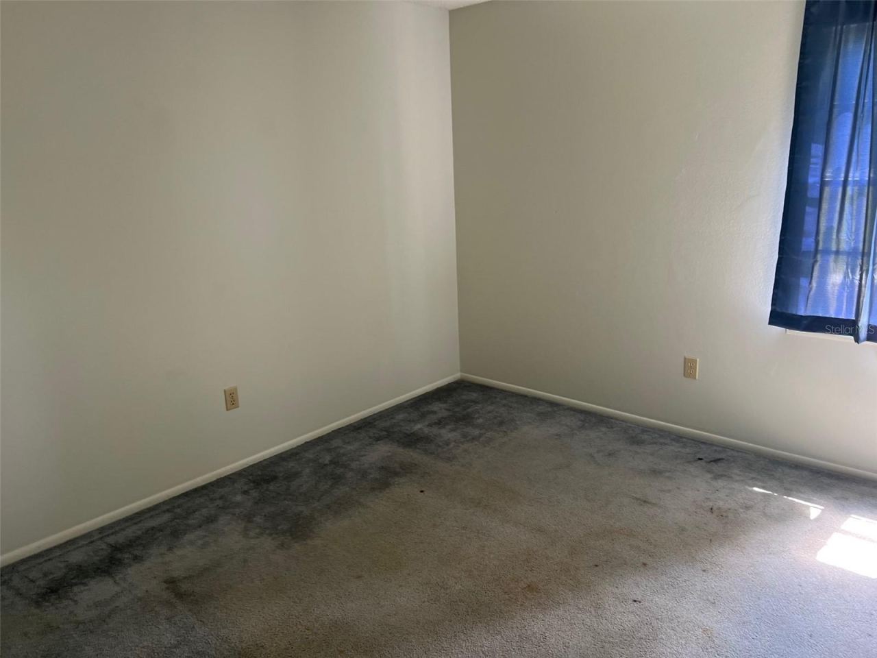 Photo 13 of 20