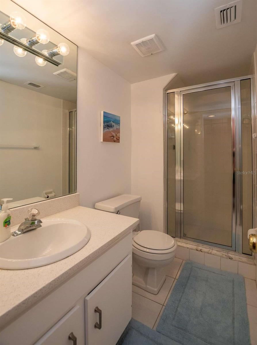Photo 14 of 20: MAIN LEVEL BATHROOM SHOWER STALL AND QUARTZ COUNTERTOPS