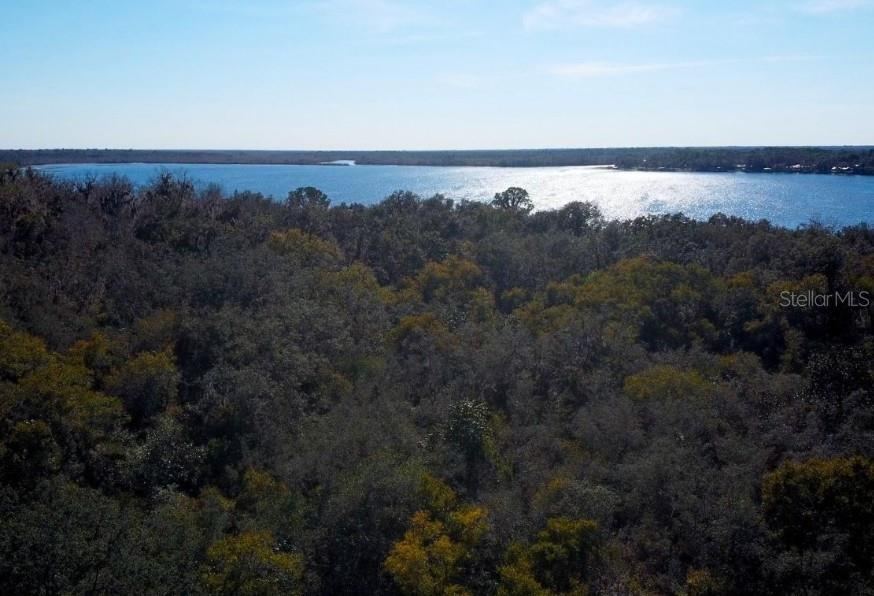 Photo 14 of 15: Enjoy a scenic bike ride to Lake Beresford Park! Experience nature, paved trails, and beautiful views.