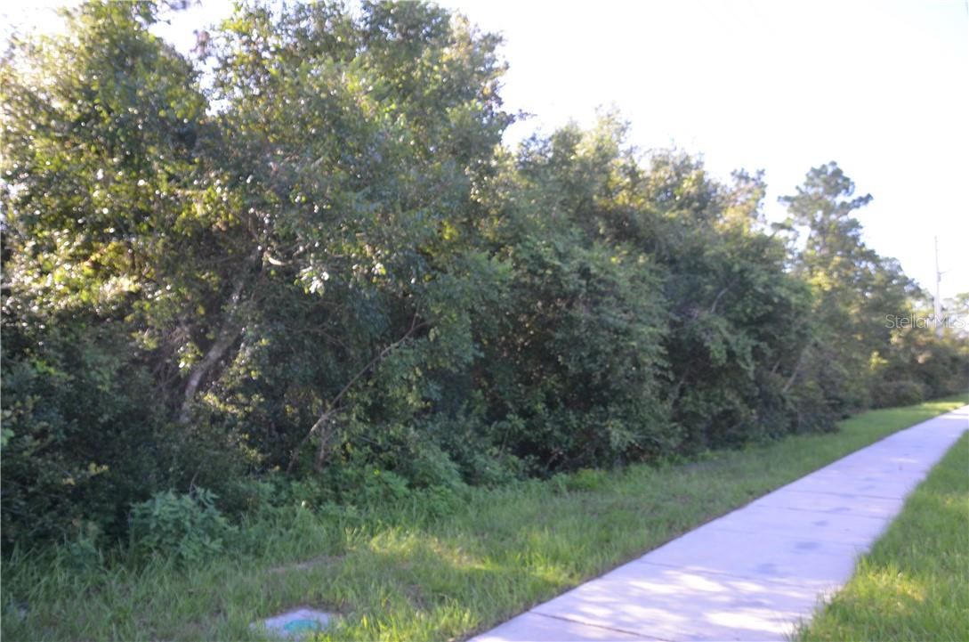 Photo 2 of 7
