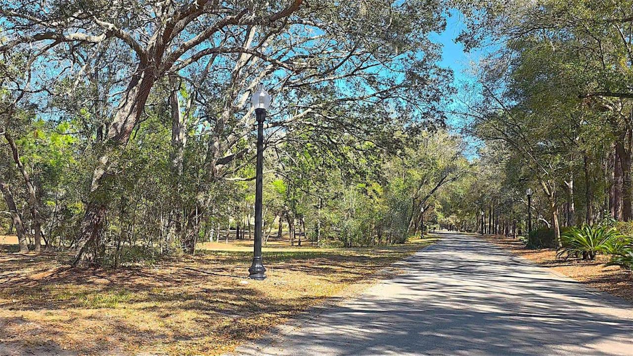 Photo 4 of 13: Street lamps light the private roads