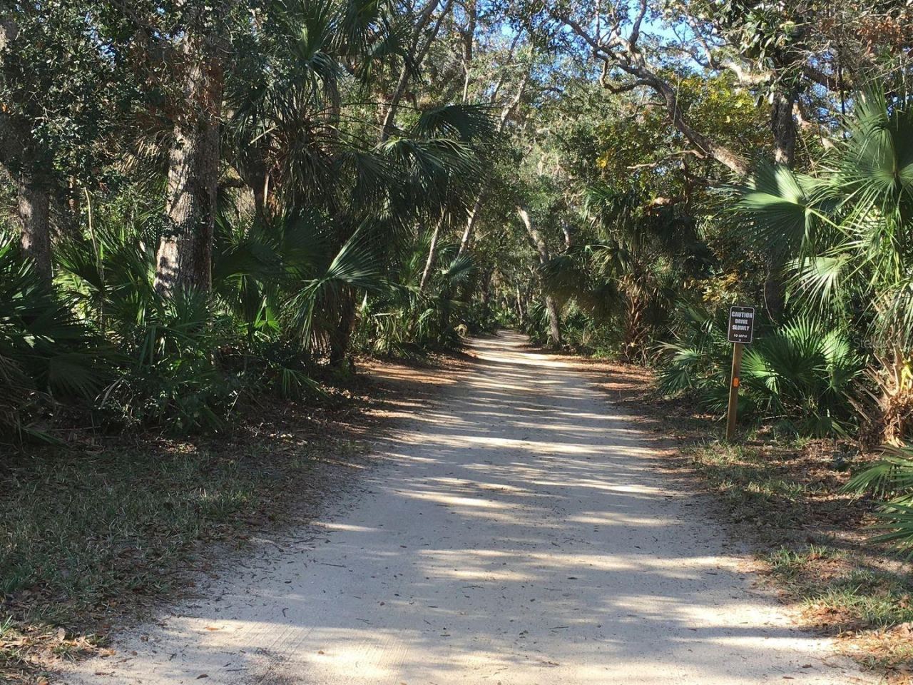 Photo 5 of 19: Nature Preserve Trails