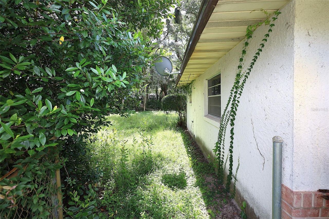 Photo 5 of 20