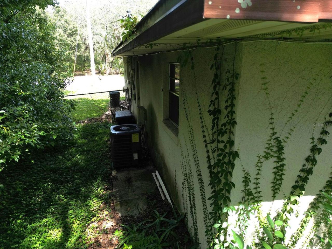 Photo 14 of 20