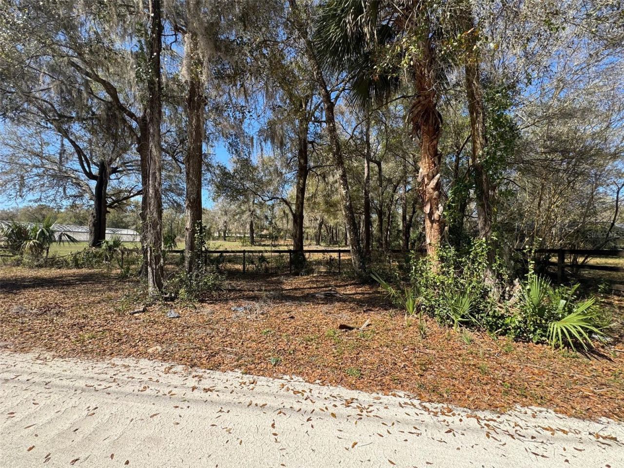 Photo 9 of 20