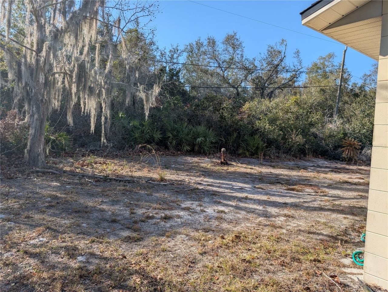 Photo 5 of 20: Back yard