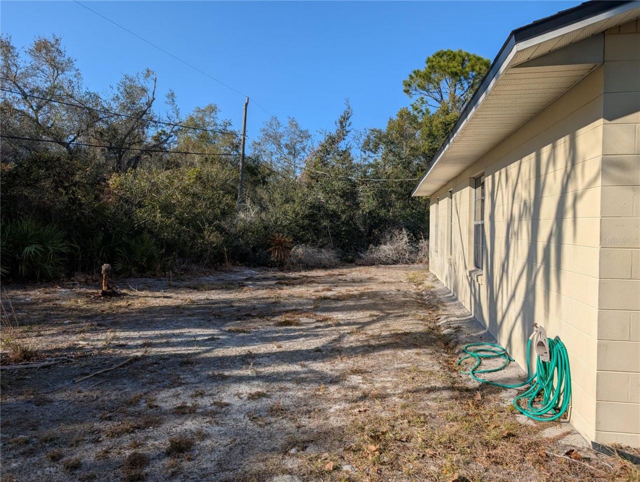 Photo 6 of 20: Back yard
