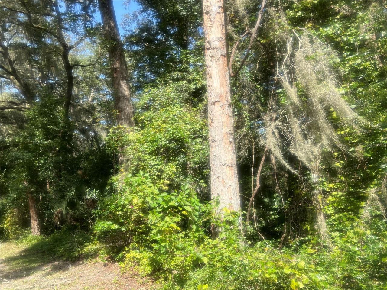 Photo 1 of 9
