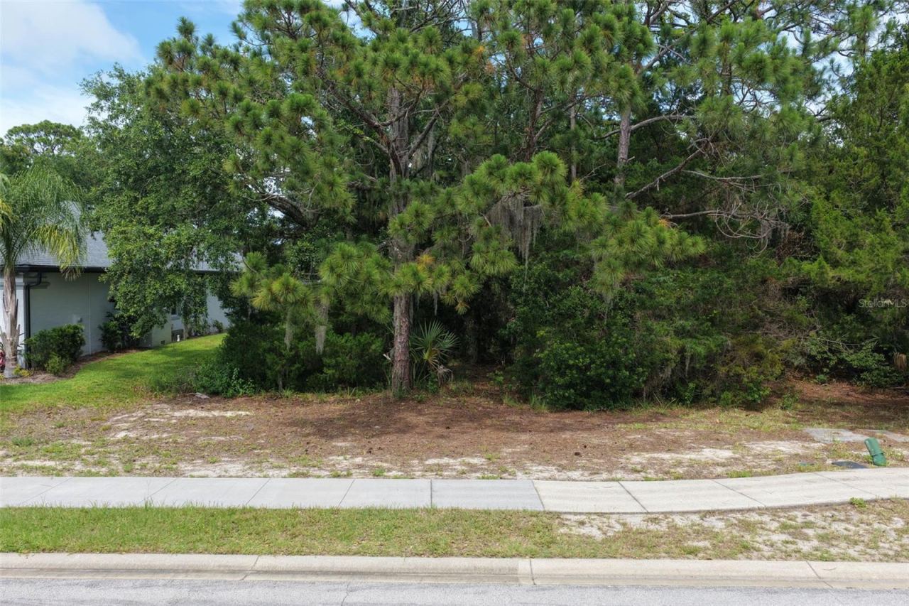 Photo 3 of 20: Street view of property
