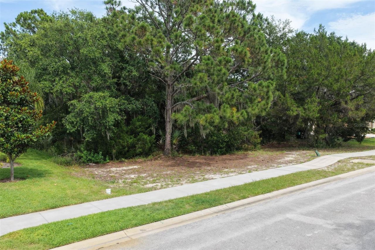 Photo 2 of 20: Street view of property