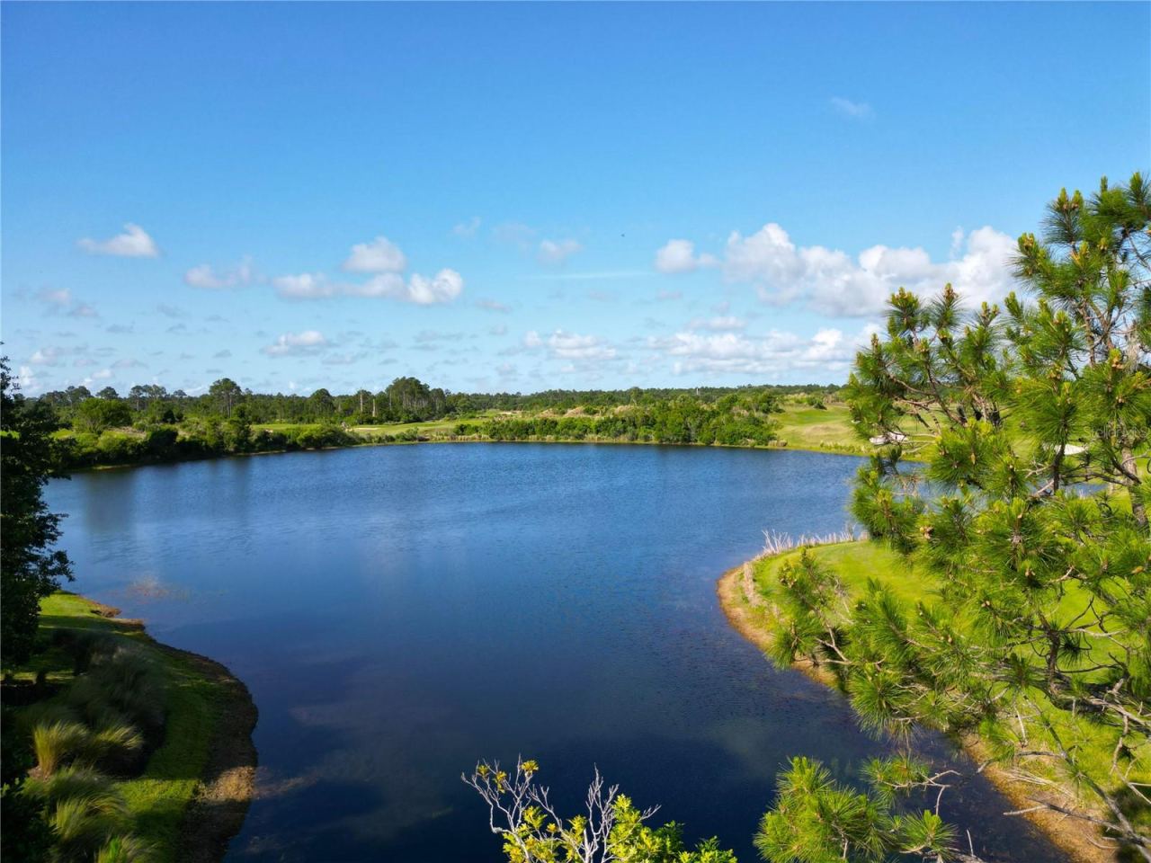 Photo 3 of 19: Aerial view of large pond in back view