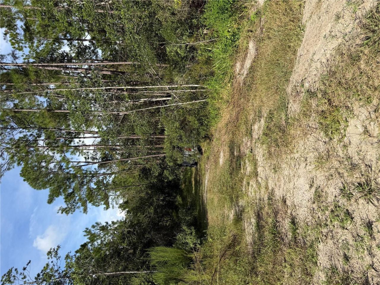 Photo 2 of 2