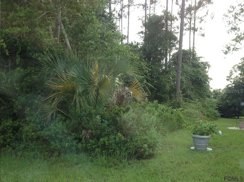 Photo 4 of 4