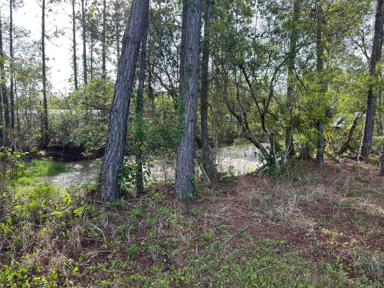 Photo 5 of 20: NATURAL POND