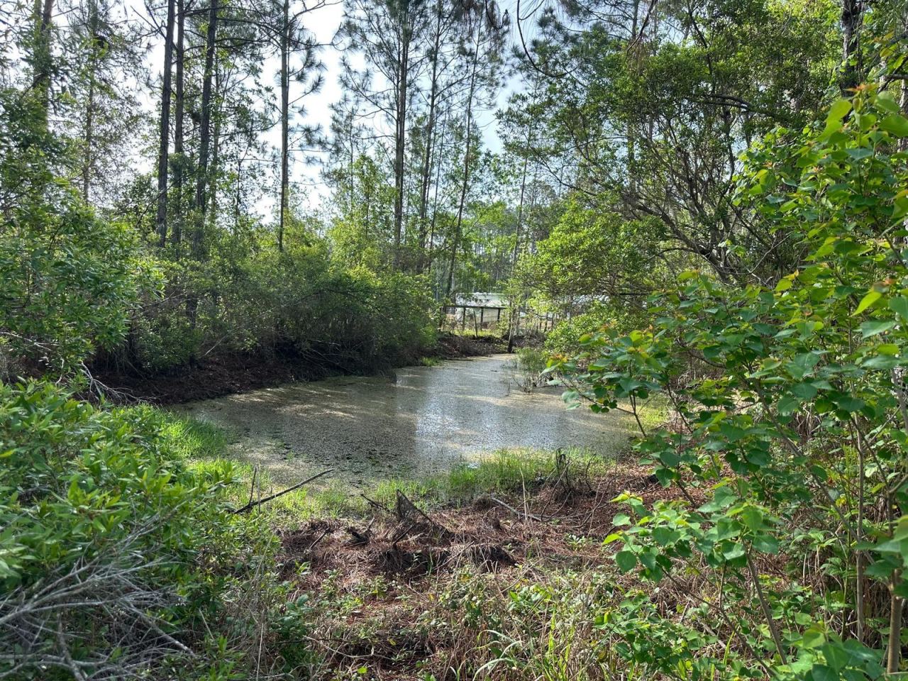 Photo 4 of 20: NATURAL POND