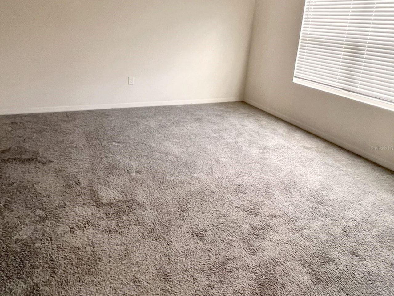 Photo 8 of 11