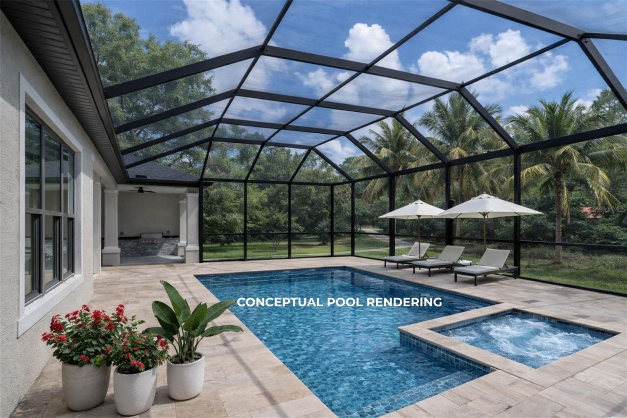 Photo 5 of 20: Conceptual Backyard Pool