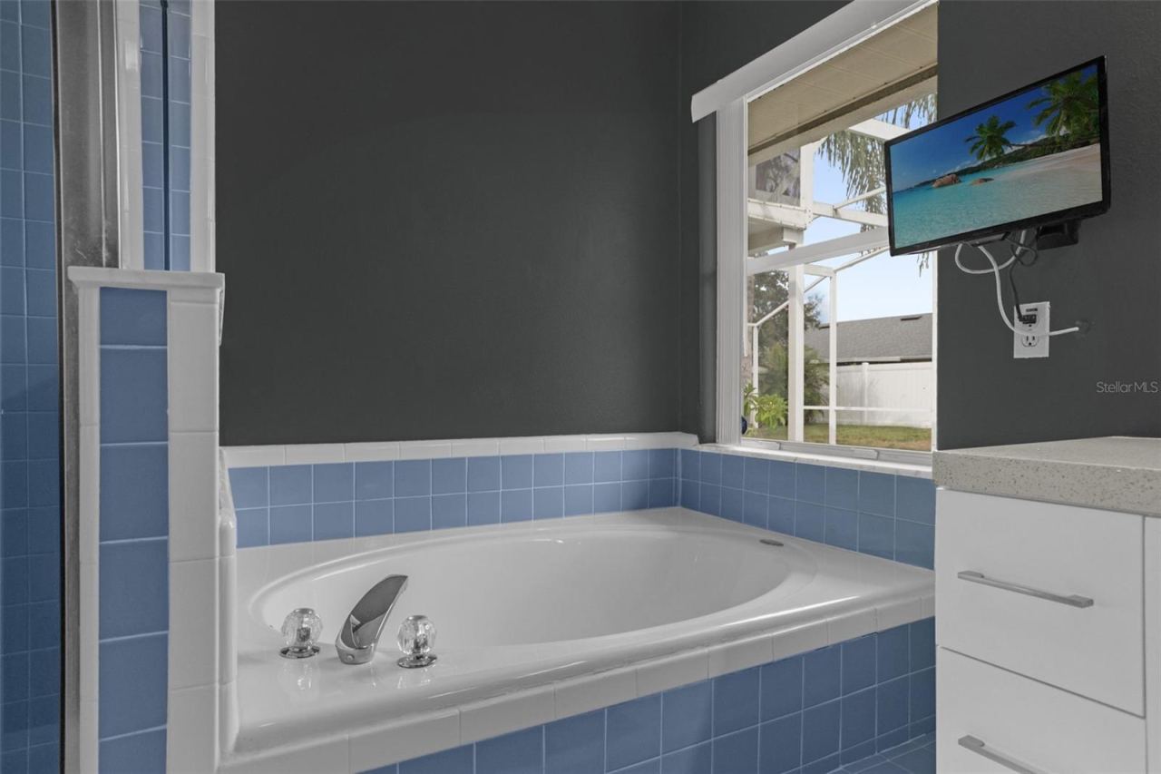 Photo 16 of 20: Soaking Tub & Tv