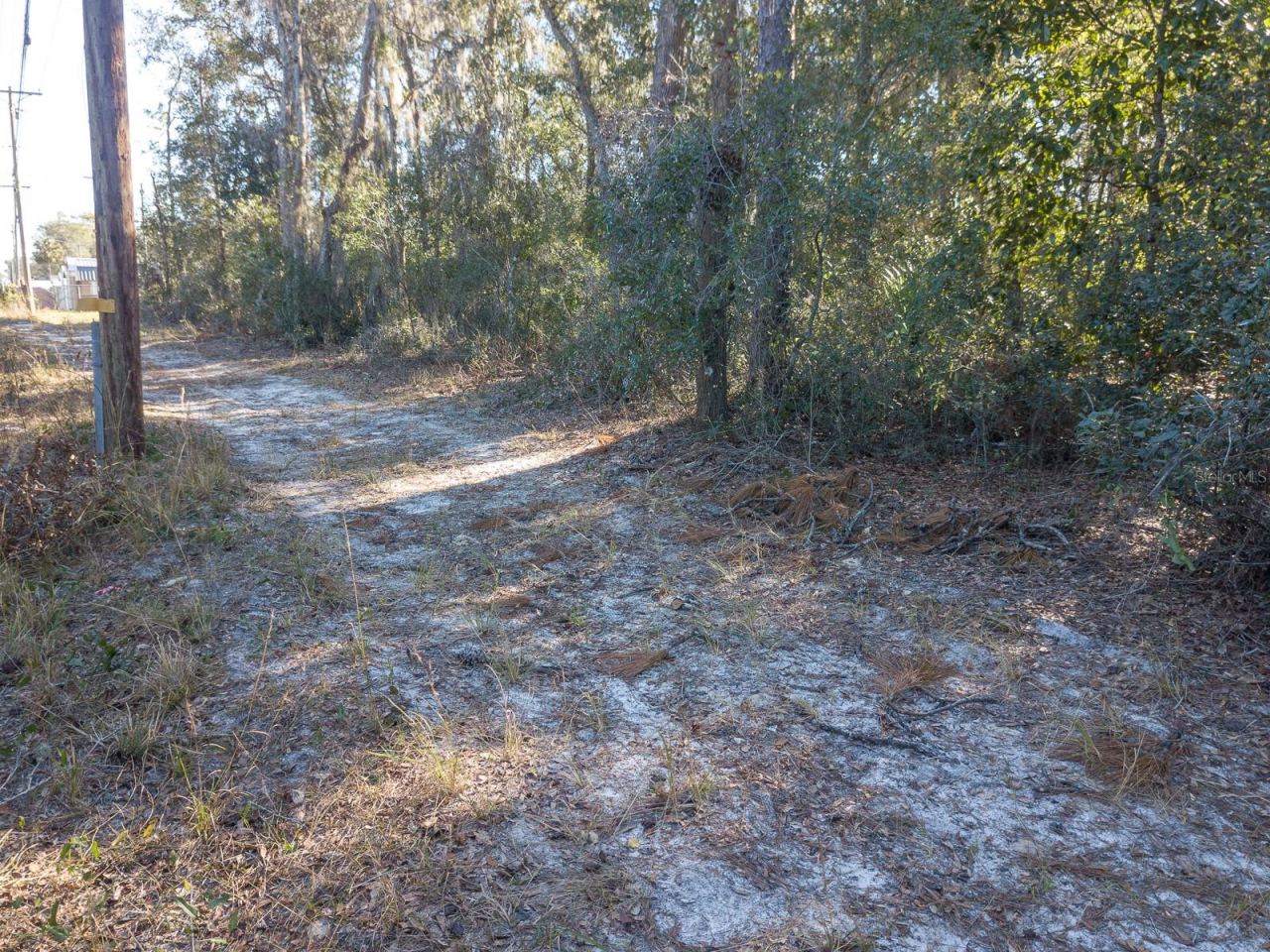 Photo 16 of 20